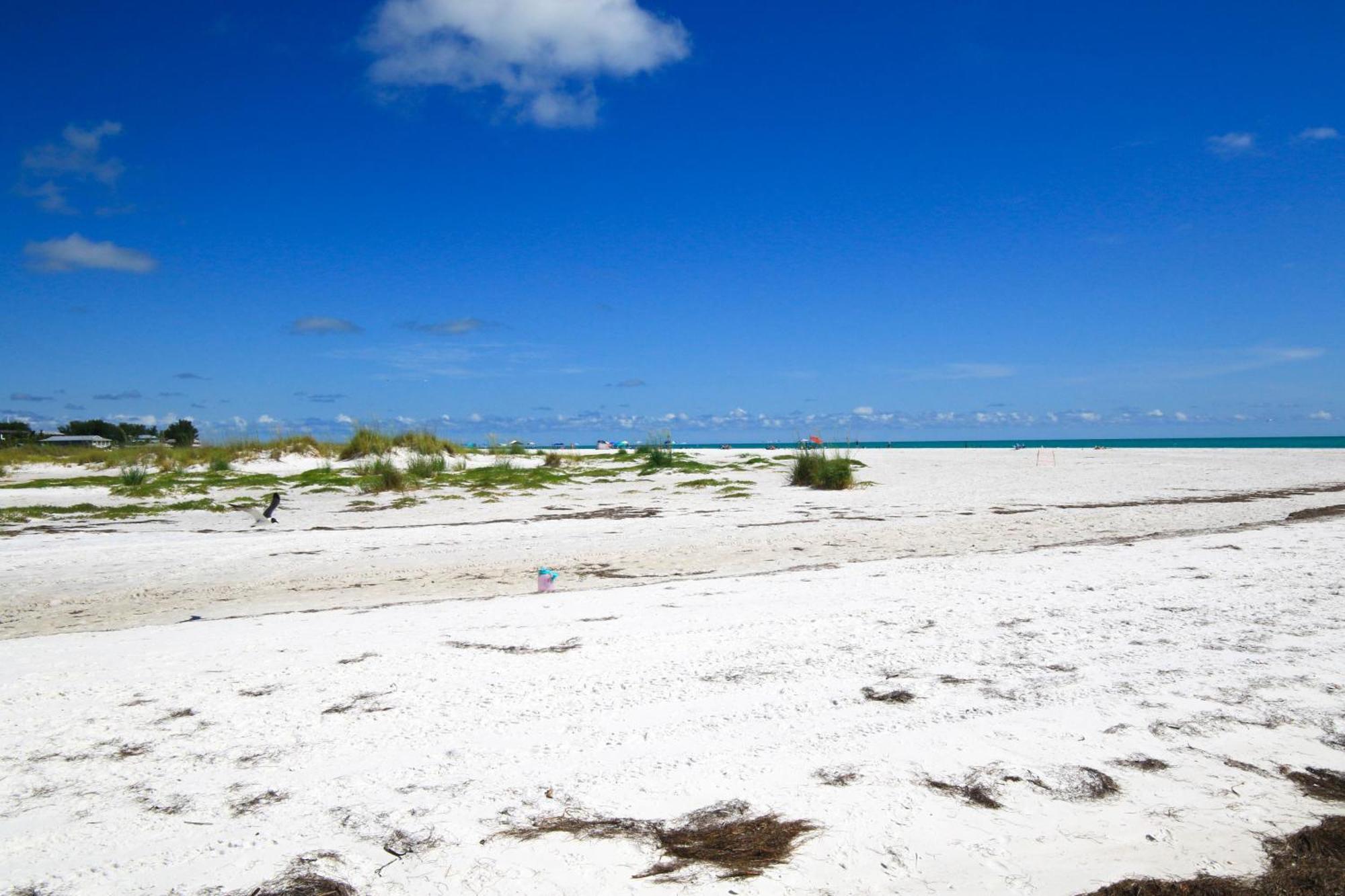Anna Maria Island Runaway Tropical Dream-One Minute Walk To The Beach-Heated Pool Bradenton Beach Kültér fotó