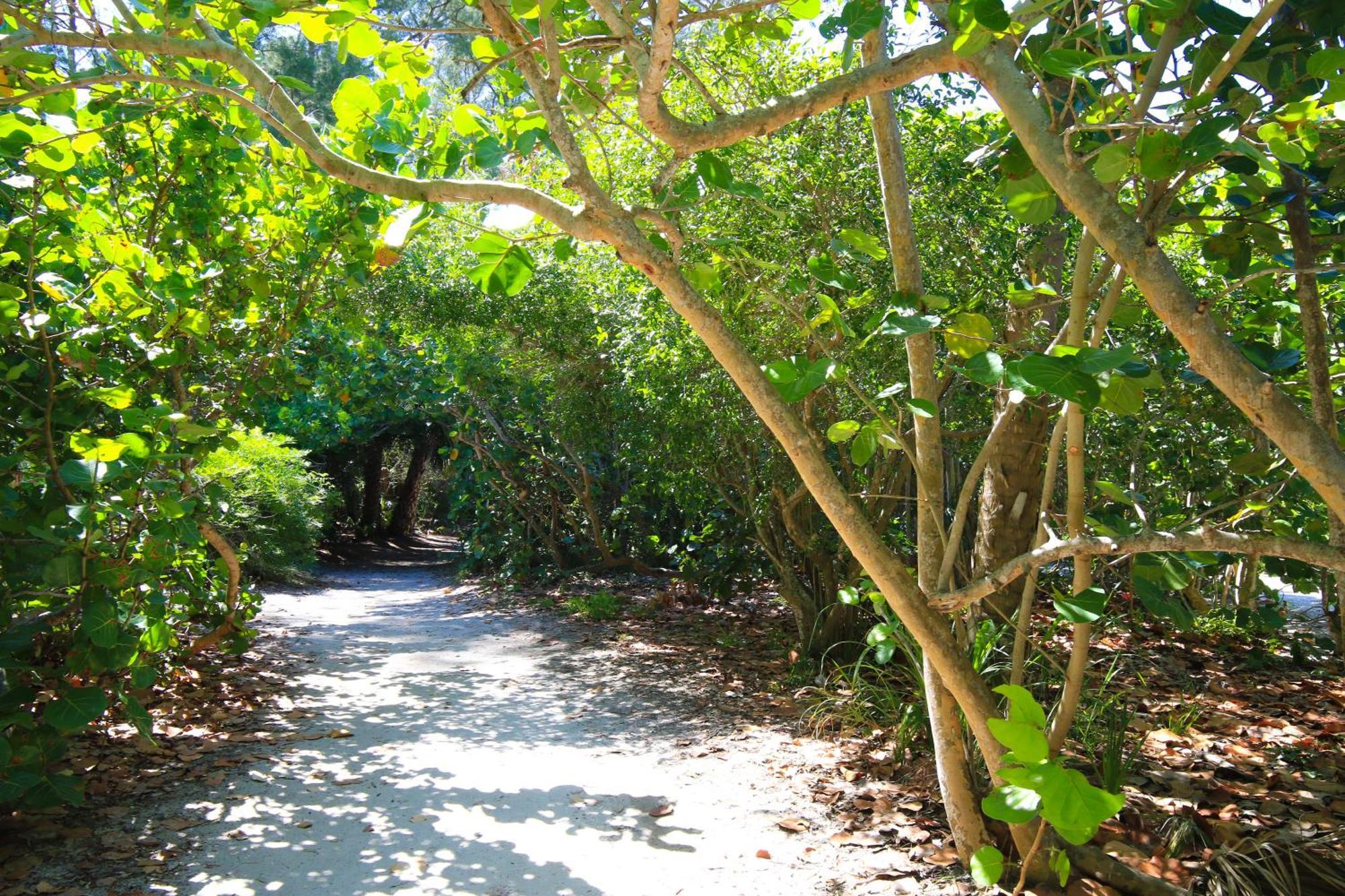 Anna Maria Island Runaway Tropical Dream-One Minute Walk To The Beach-Heated Pool Bradenton Beach Kültér fotó